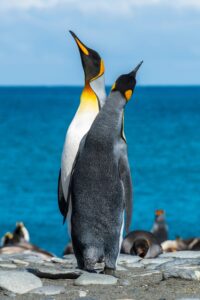 Hello World Featured Image