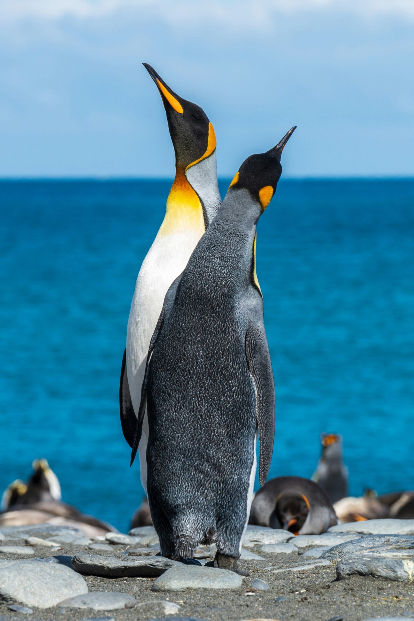 Hello World Featured Image